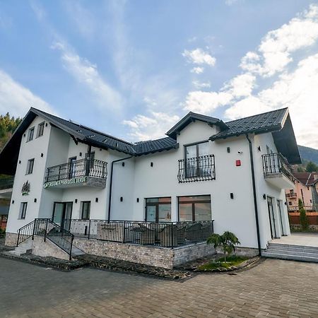 Pensiunea Paradisul Verde Moisei Dış mekan fotoğraf