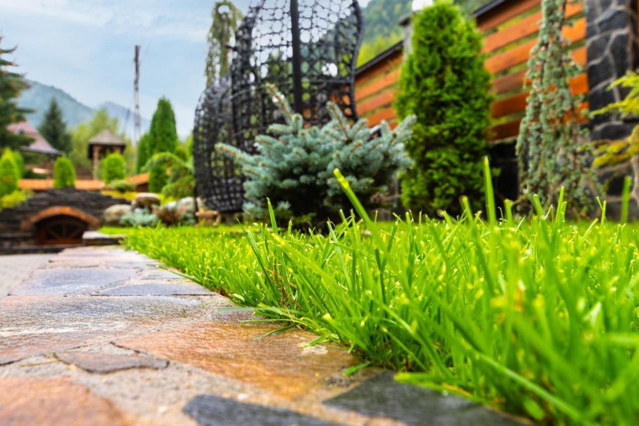 Pensiunea Paradisul Verde Moisei Dış mekan fotoğraf