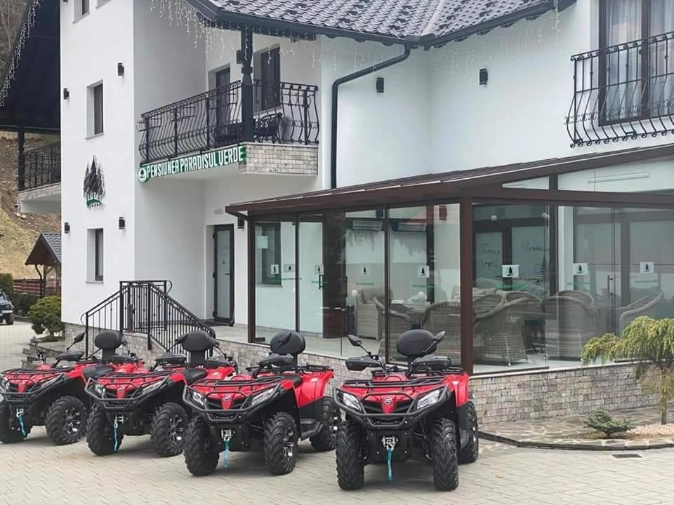 Pensiunea Paradisul Verde Moisei Dış mekan fotoğraf