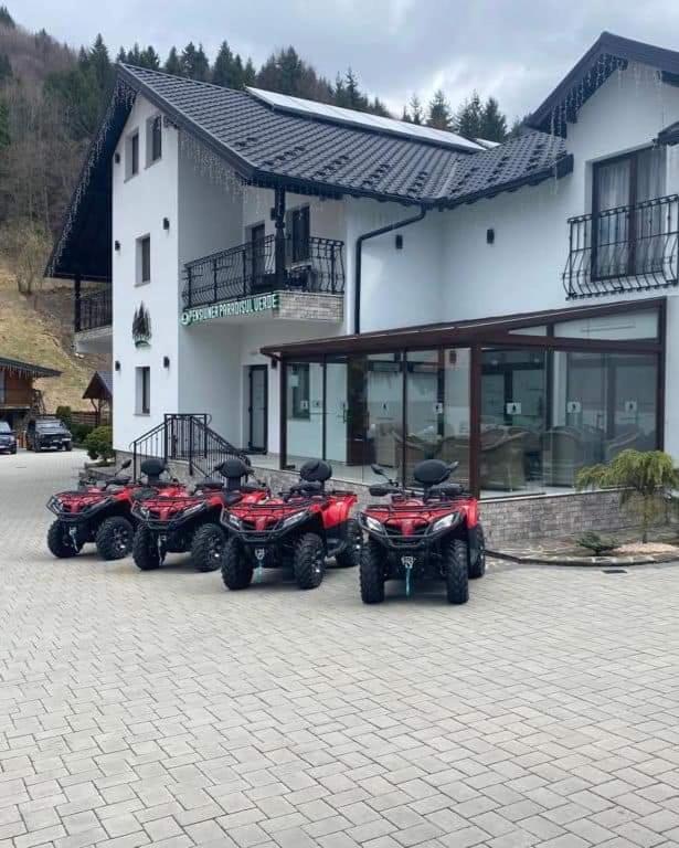 Pensiunea Paradisul Verde Moisei Dış mekan fotoğraf